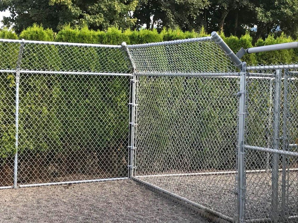 kennel_outsideFences00.jpg