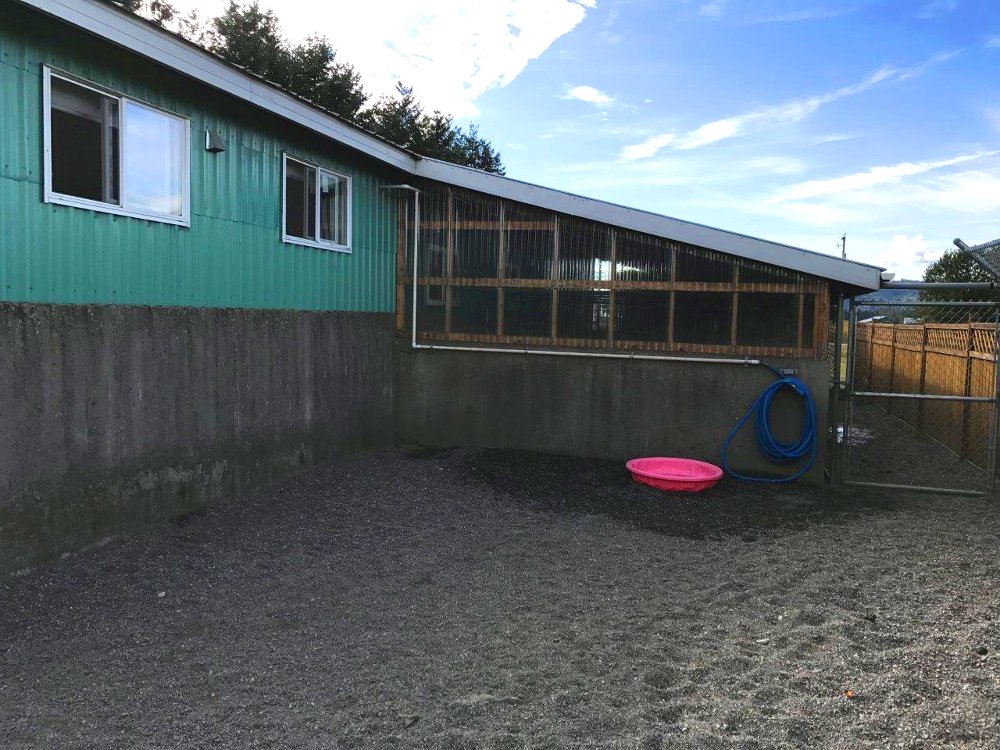 kennel_outsideRun02.jpg