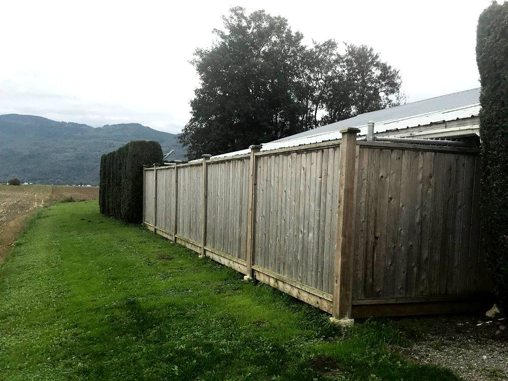 Green Acres Pet Care Green Acres Pet Care Centre