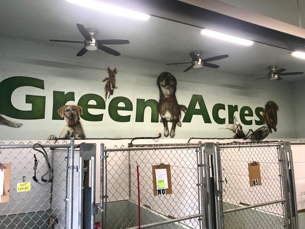 Boarding Fees Green Acres Pet Care Centre
