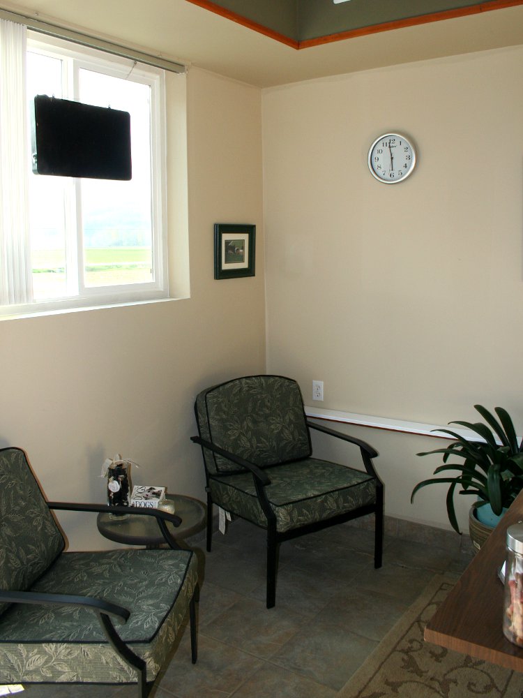 Required Vaccinations Green Acres Pet Care Centre