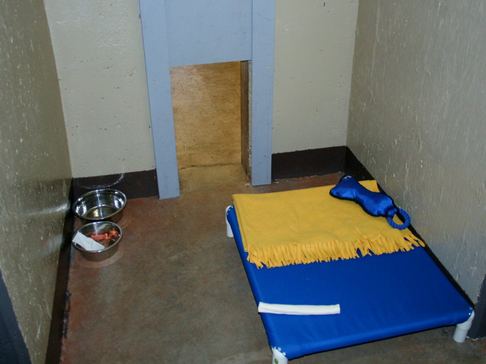 Boarding Fees Green Acres Pet Care Centre