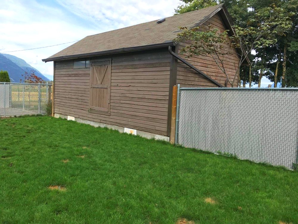 Dog Boarding Kennels Abbotsford Chilliwack Fraser Valley BC Green